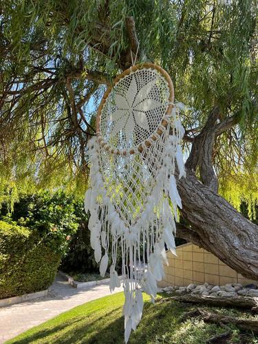 לוכד חלומות 