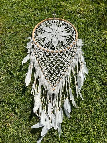 לוכד חלומות 