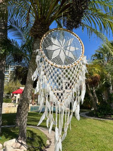 לוכד חלומות 