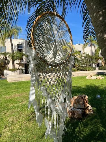 לוכד חלומות 