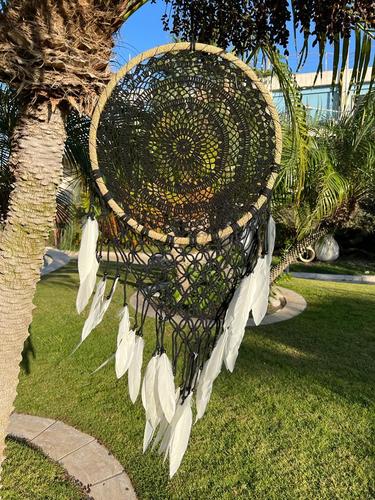 לוכד חלומות 