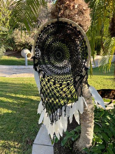 לוכד חלומות 