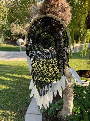 לוכד חלומות 