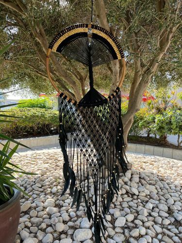 לוכד חלומות 