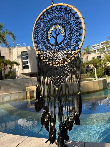 לוכד חלומות 