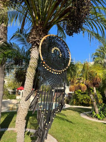 לוכד חלומות 