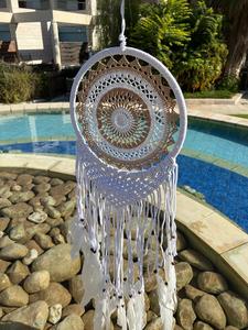 לוכד חלומות 