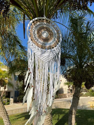 לוכד חלומות 