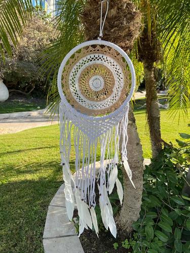 לוכד חלומות 