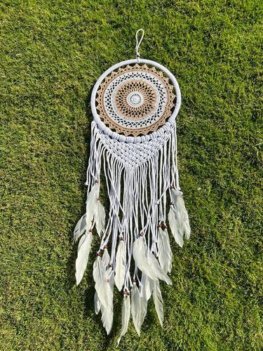 לוכד חלומות 