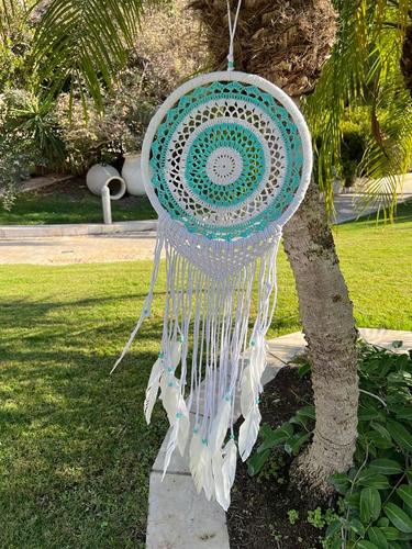 לוכד חלומות 