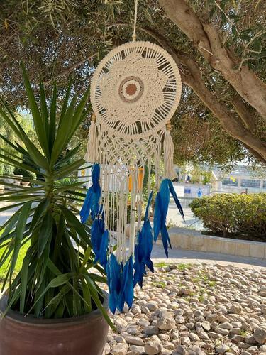 לוכד חלומות 