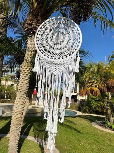 לוכד חלומות 