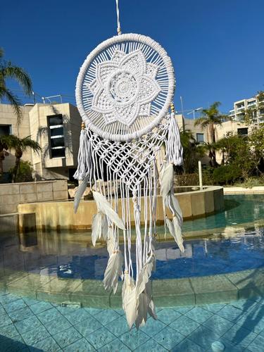 לוכד חלומות 