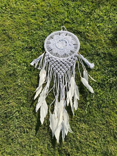 לוכד חלומות 