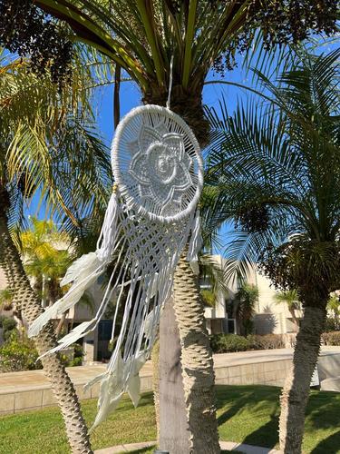 לוכד חלומות 