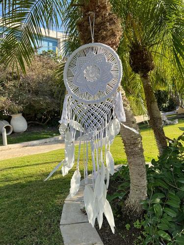 לוכד חלומות 