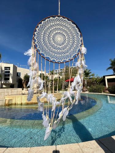 לוכד חלומות 