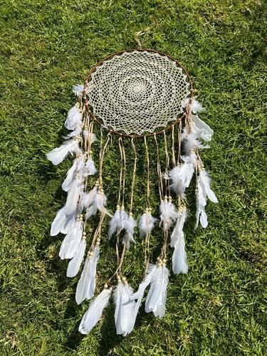 לוכד חלומות 