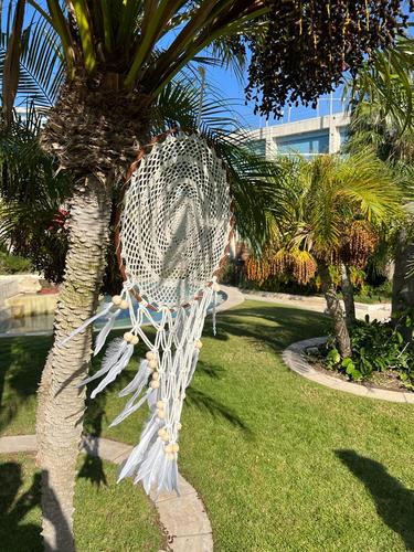 לוכד חלומות 