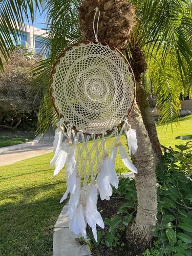 לוכד חלומות 