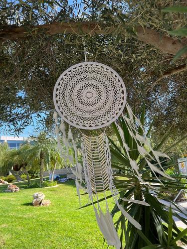 לוכד חלומות 