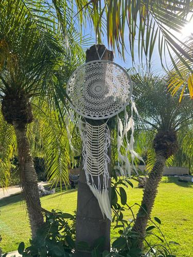 לוכד חלומות 