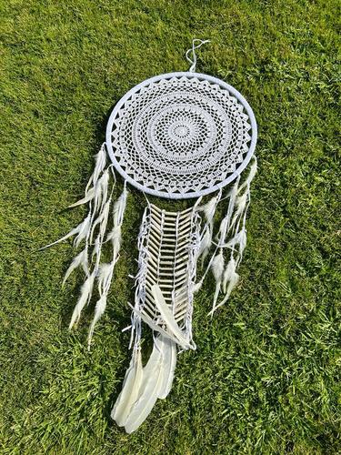 לוכד חלומות 