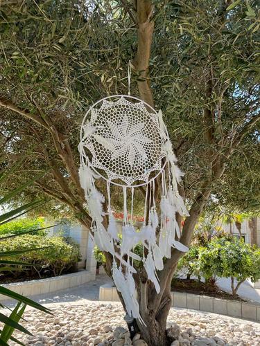 לוכד חלומות 