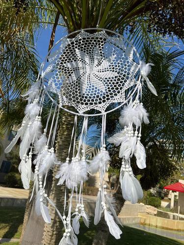 לוכד חלומות 