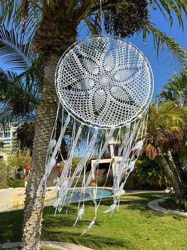 לוכד חלומות 