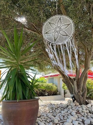 לוכד חלומות 