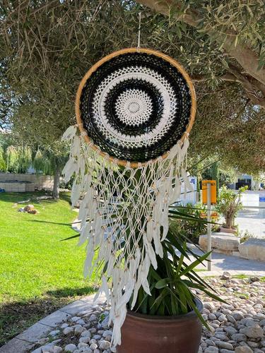 לוכד חלומות 