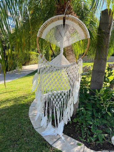 לוכד חלומות 