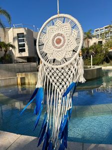 לוכד חלומות 