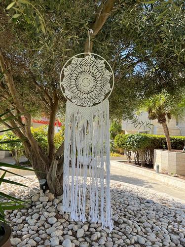 לוכד חלומות 