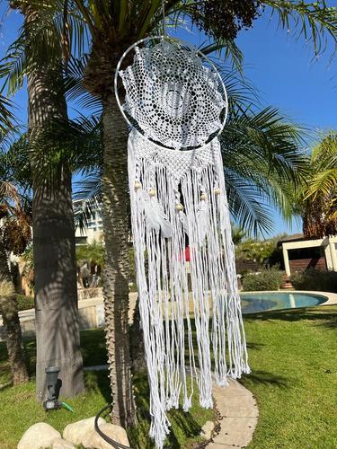 לוכד חלומות 