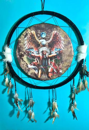 לוכד חלומות 