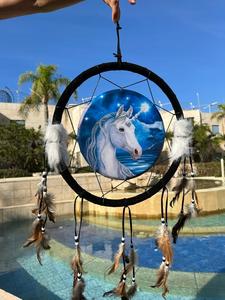 לוכד חלומות חד קרן