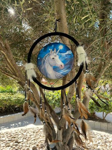 לוכד חלומות חד קרן