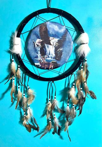 לוכד חלומות  