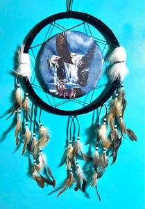 לוכד חלומות  