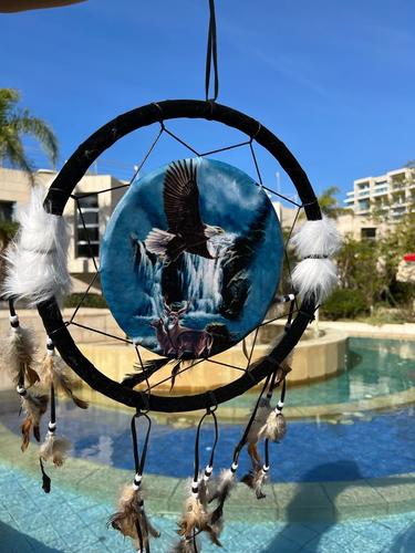 לוכד חלומות  