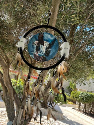 לוכד חלומות  