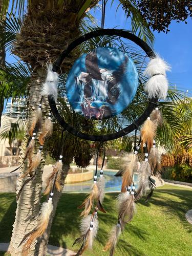 לוכד חלומות  