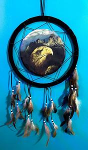 לוכד חלומות  נשר