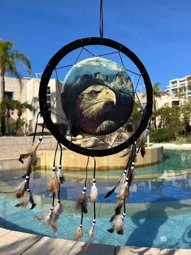 לוכד חלומות  נשר