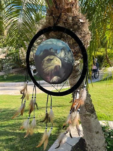 לוכד חלומות  נשר