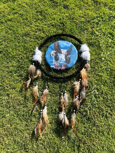 לוכד חלומות  