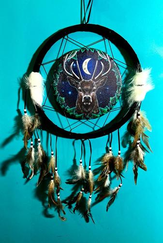 לוכד חלומות   איל